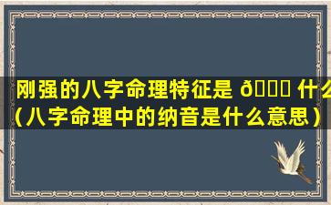 刚强的八字命理特征是 🐎 什么（八字命理中的纳音是什么意思）